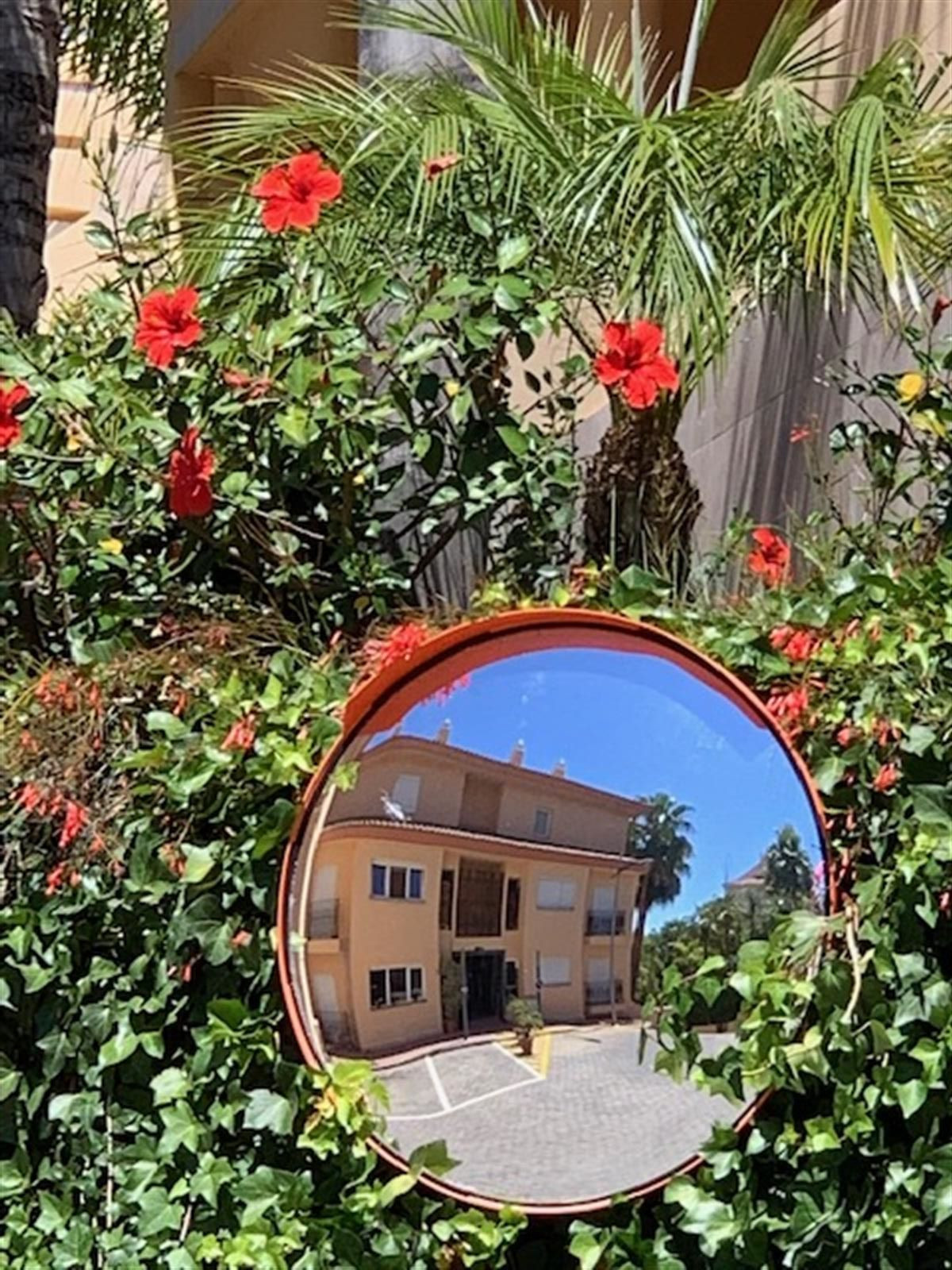 Photo 11 Ground Floor Apartment Nueva Andalucía, Costa del Sol, Málaga – R4673671