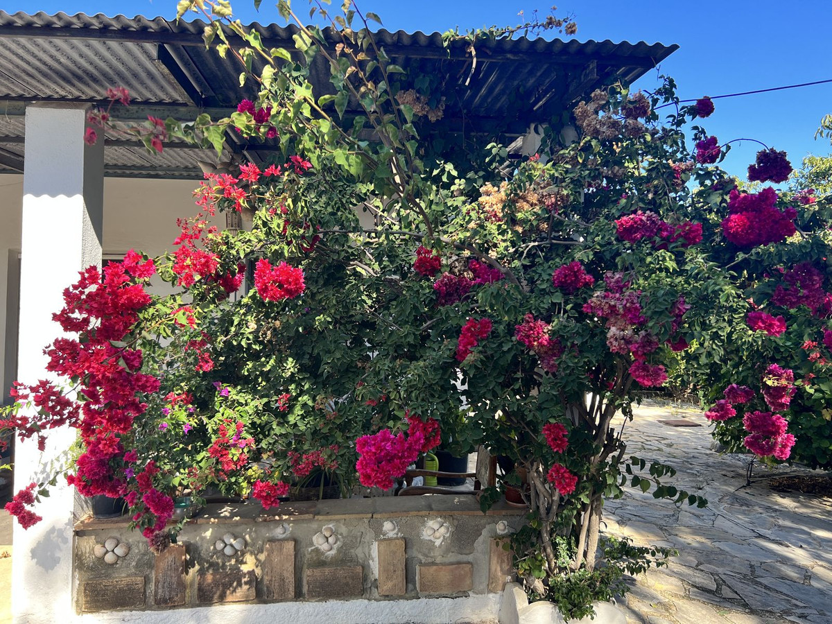 Photo 18 Finca – Cortijo New Golden Mile, Costa del Sol, Málaga – R4453384