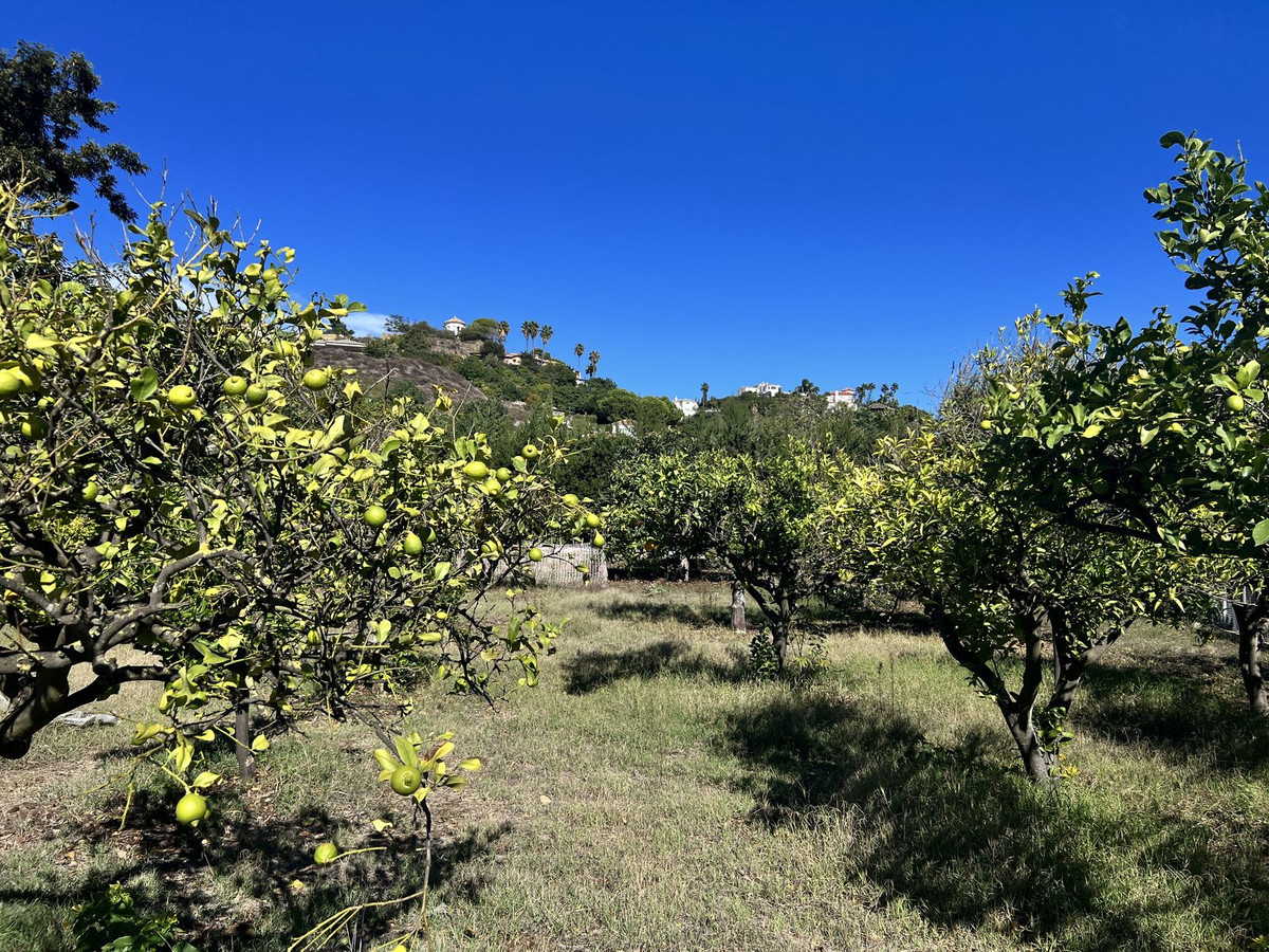 Photo 20 Finca – Cortijo New Golden Mile, Costa del Sol, Málaga – R4453384