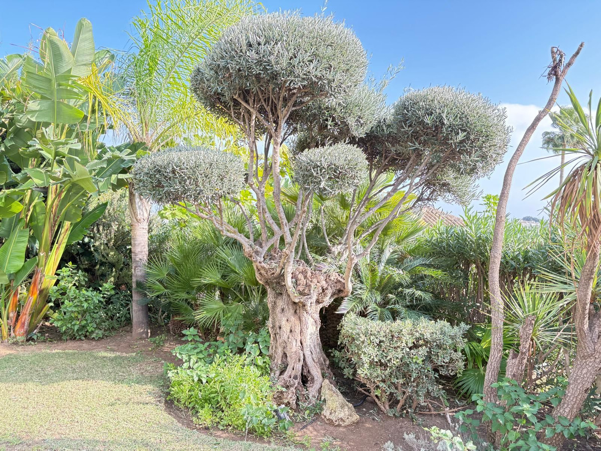 Photo 38 Detached Villa El Paraiso, Costa del Sol, Málaga – R4880032