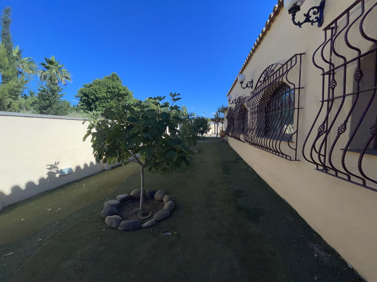 Photo 12 Bar El Paraiso, Costa del Sol, Málaga – R4039234