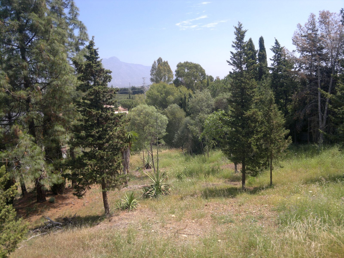 Photo 1 Finca – Cortijo Guadalmina Alta, Costa del Sol, Málaga – R4395100