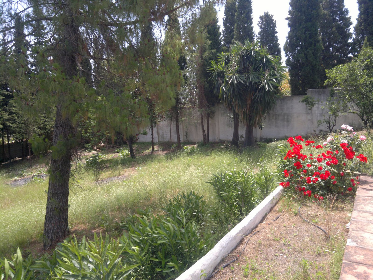 Photo 12 Finca – Cortijo Guadalmina Alta, Costa del Sol, Málaga – R4395100