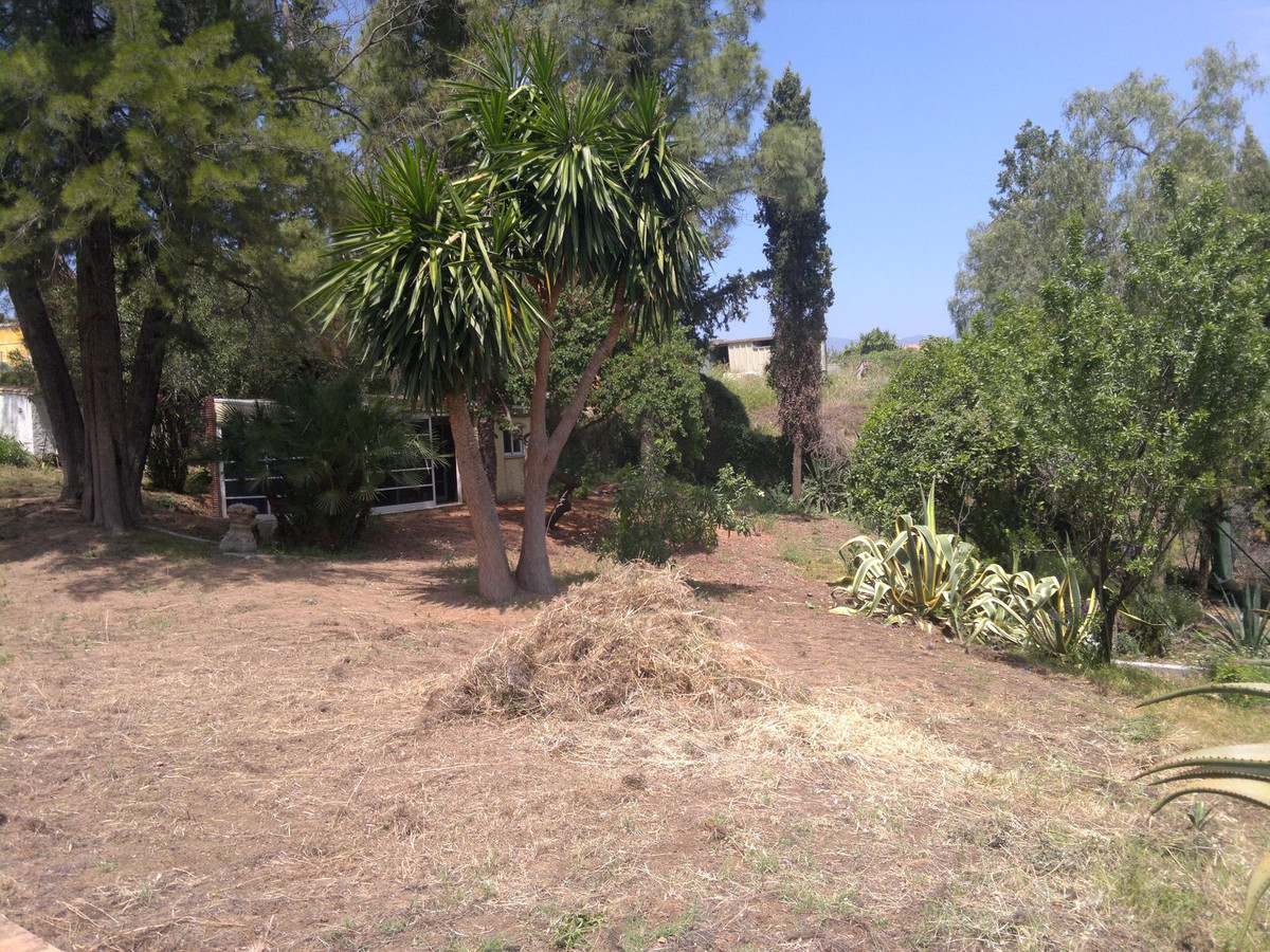 Photo 5 Finca – Cortijo Guadalmina Alta, Costa del Sol, Málaga – R4395100