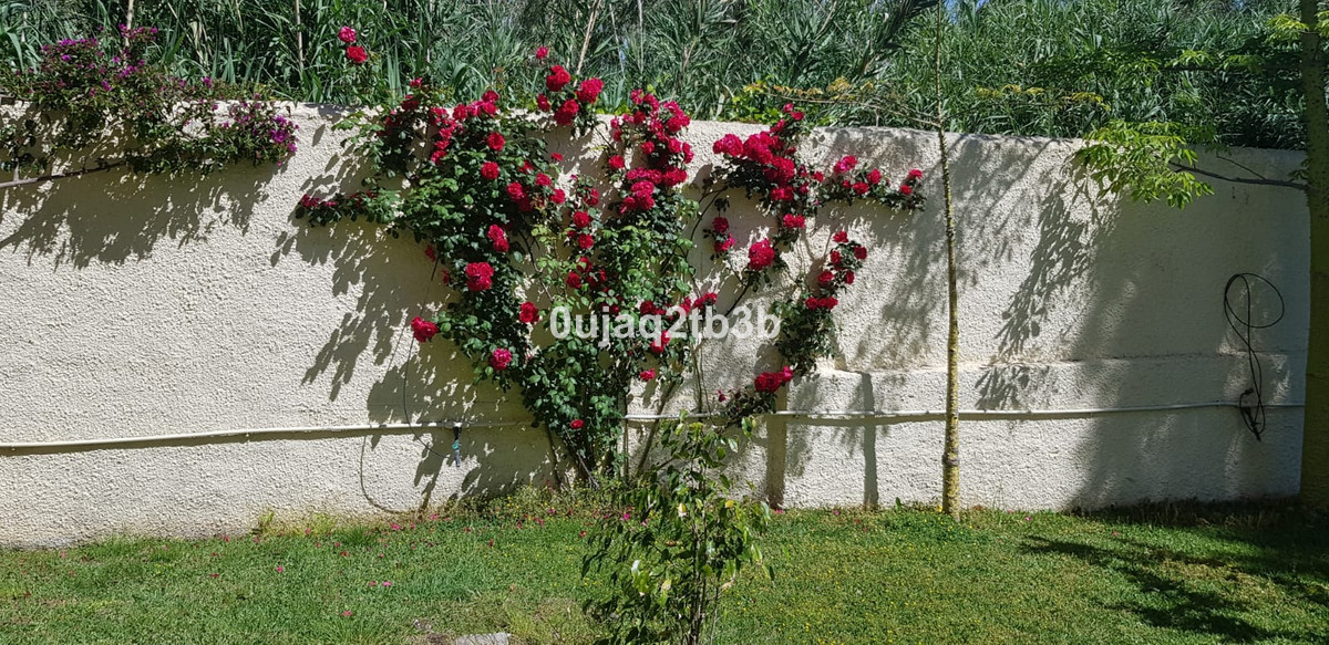 Photo 18 Detached Villa New Golden Mile, Costa del Sol, Málaga – R3967933
