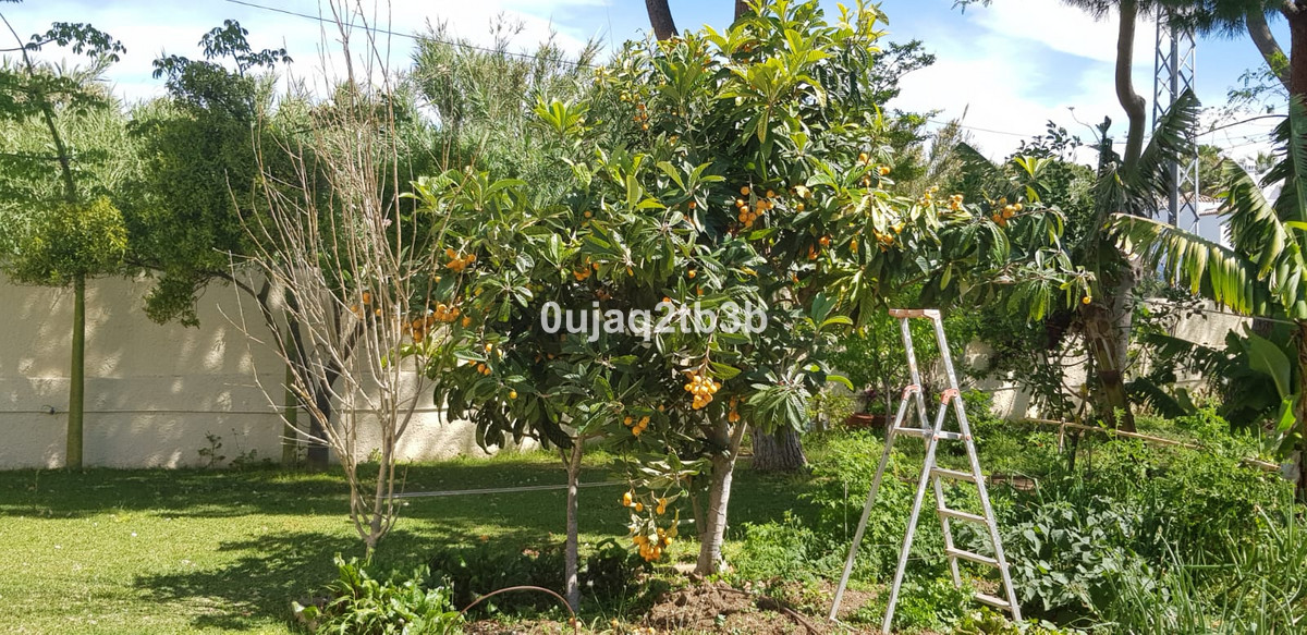Photo 21 Detached Villa New Golden Mile, Costa del Sol, Málaga – R3967933