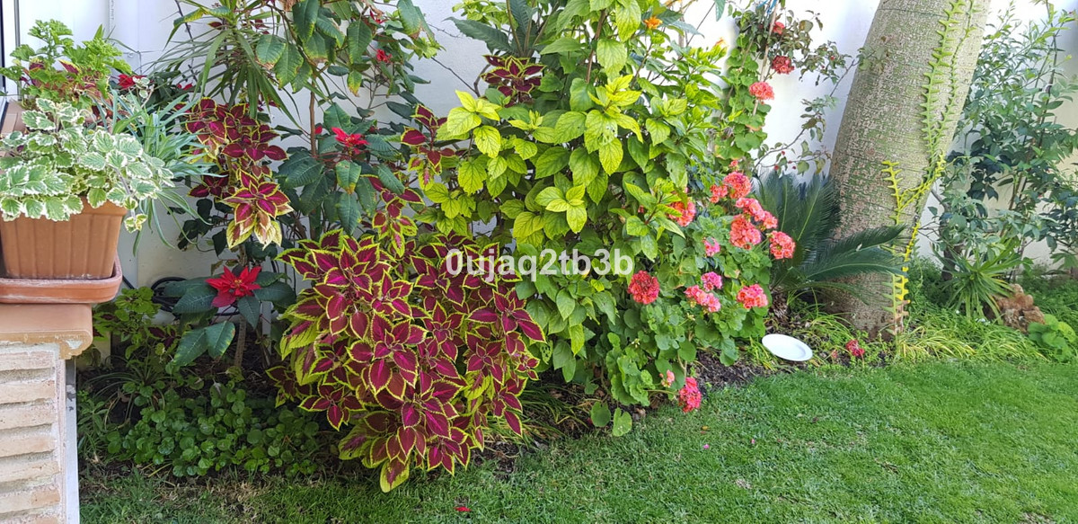 Photo 23 Detached Villa New Golden Mile, Costa del Sol, Málaga – R3967933