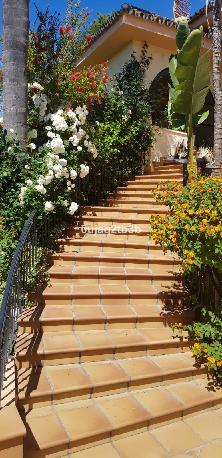Photo 24 Detached Villa New Golden Mile, Costa del Sol, Málaga – R3967933