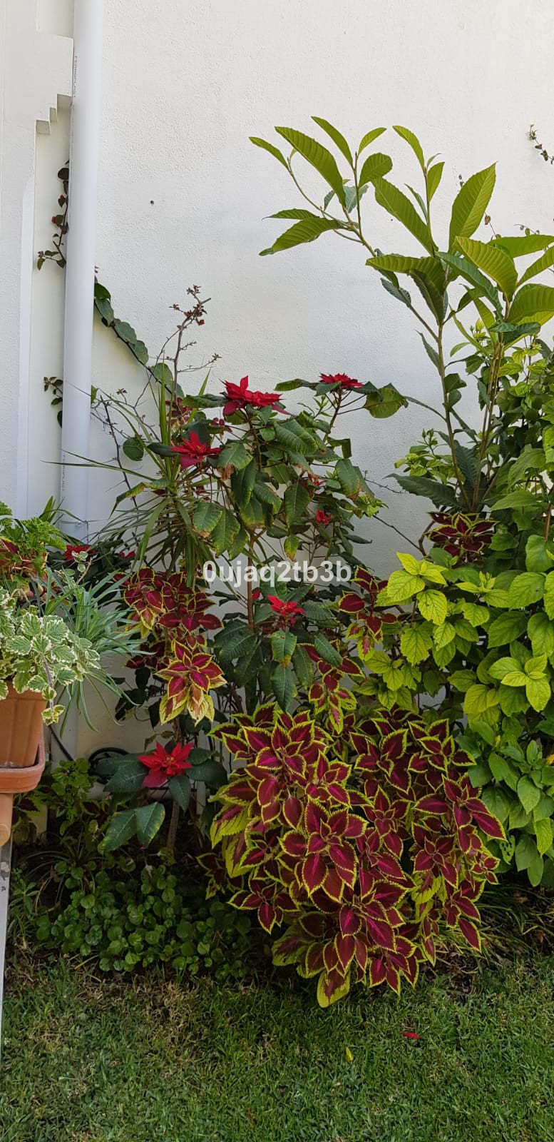 Photo 28 Detached Villa New Golden Mile, Costa del Sol, Málaga – R3967933