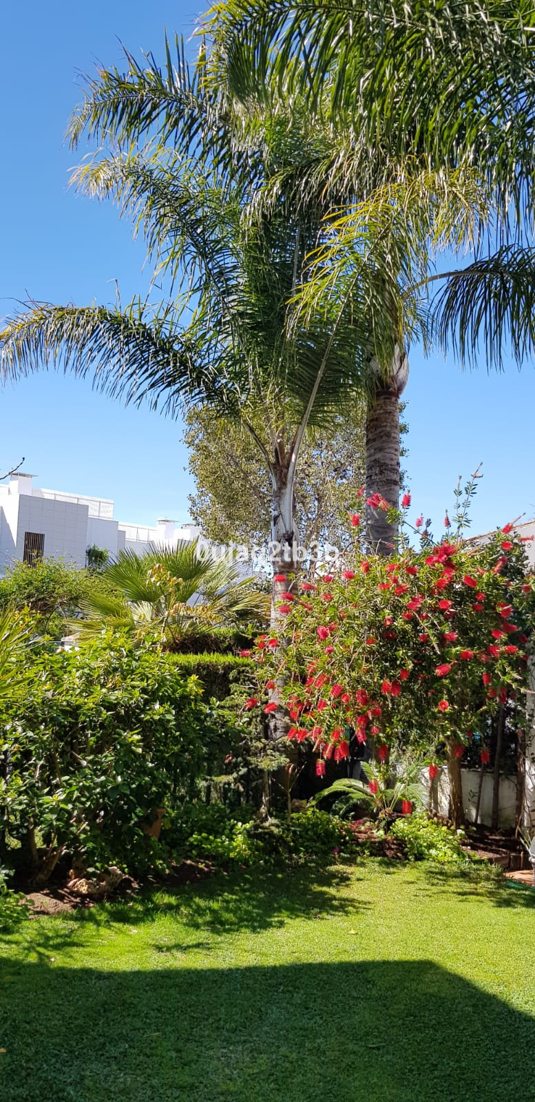 Photo 29 Detached Villa New Golden Mile, Costa del Sol, Málaga – R3967933