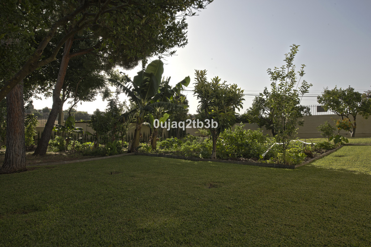 Photo 7 Detached Villa New Golden Mile, Costa del Sol, Málaga – R3967933