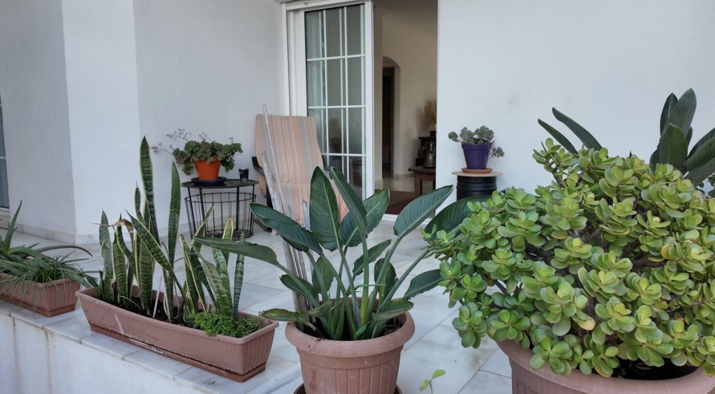 Photo 22 Ground Floor Apartment Estepona, Costa del Sol, Málaga – R4979293