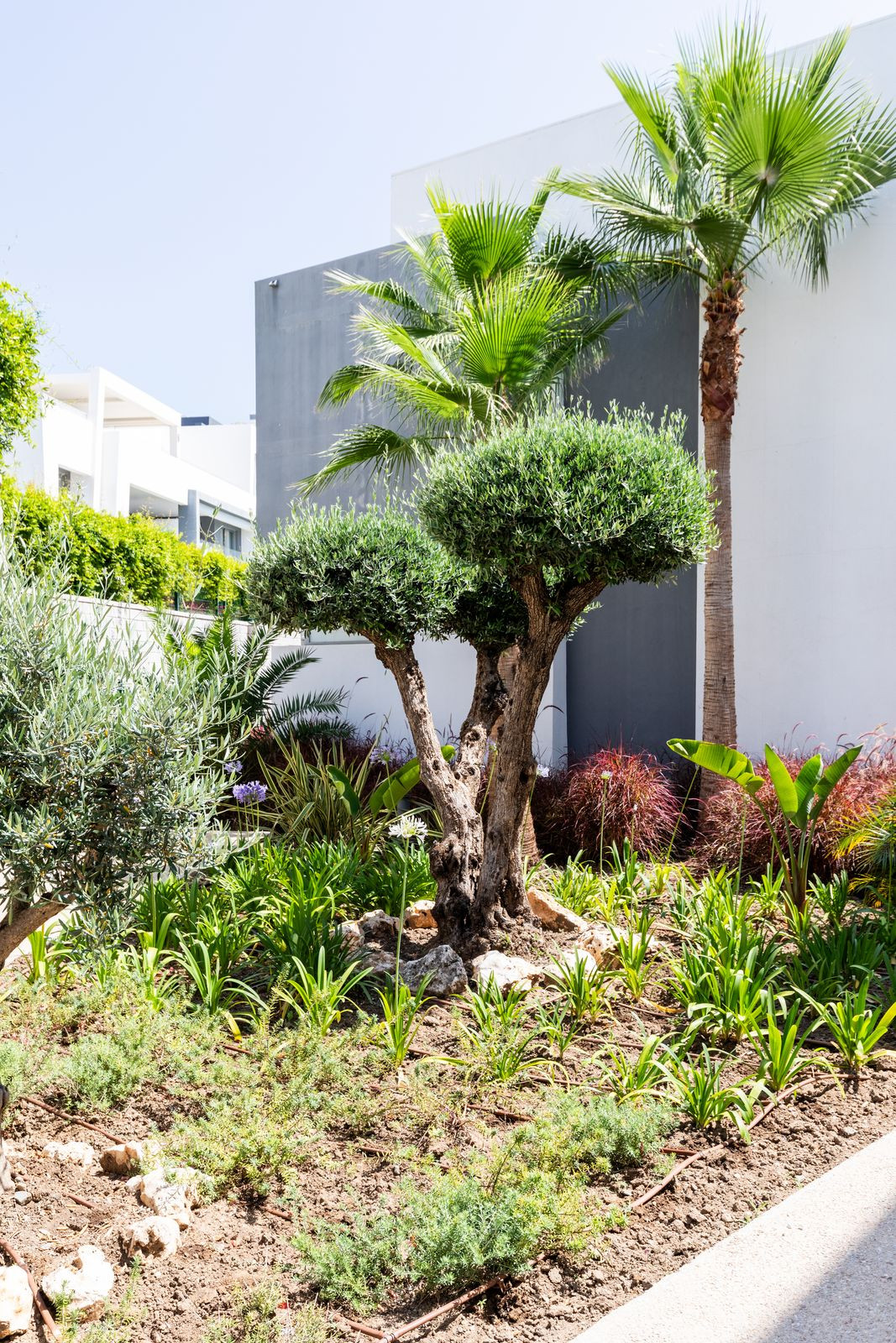 Photo 25 Ground Floor Apartment New Golden Mile, Costa del Sol, Málaga – R5070397