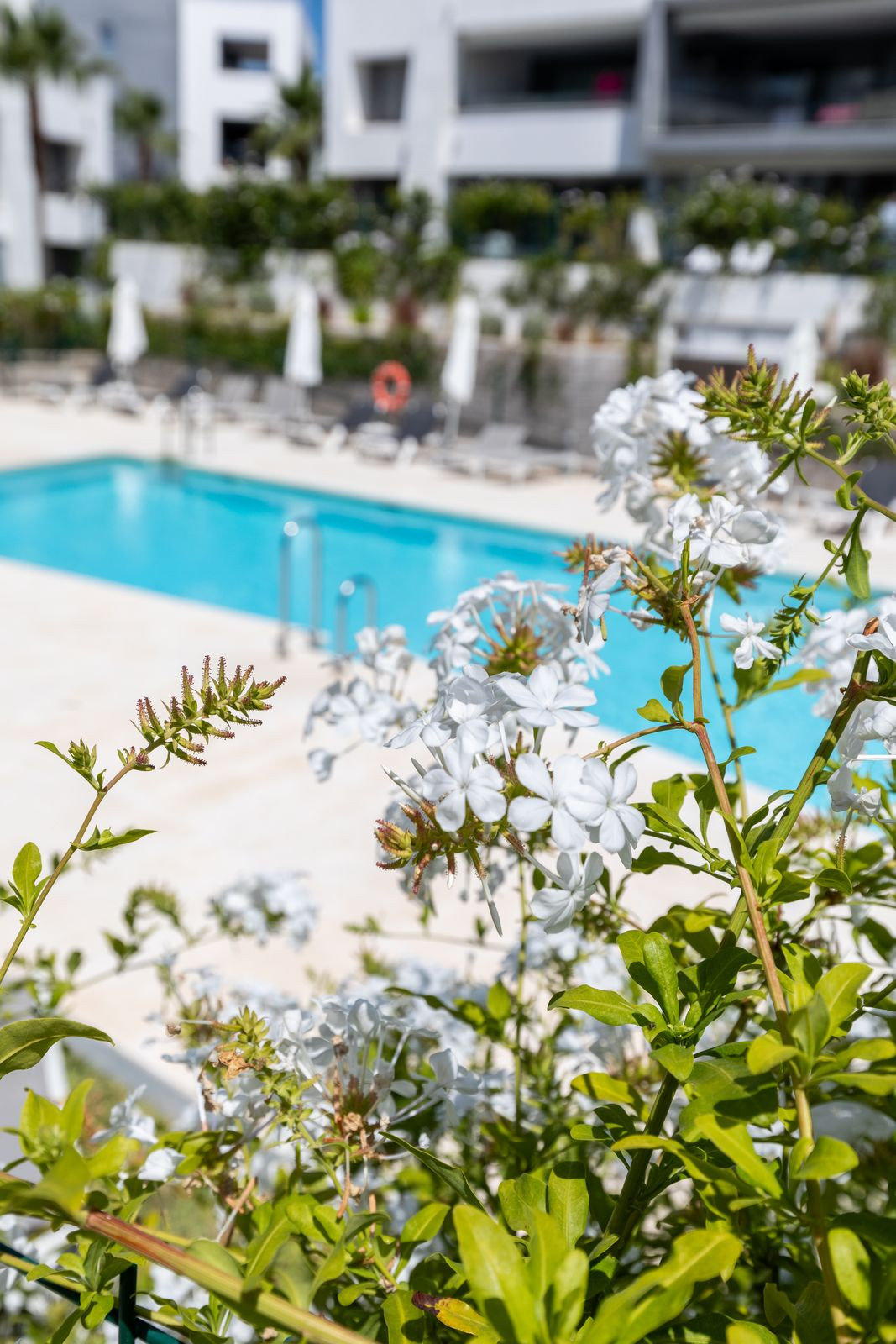 Photo 10 Ground Floor Apartment New Golden Mile, Costa del Sol, Málaga – R5070397