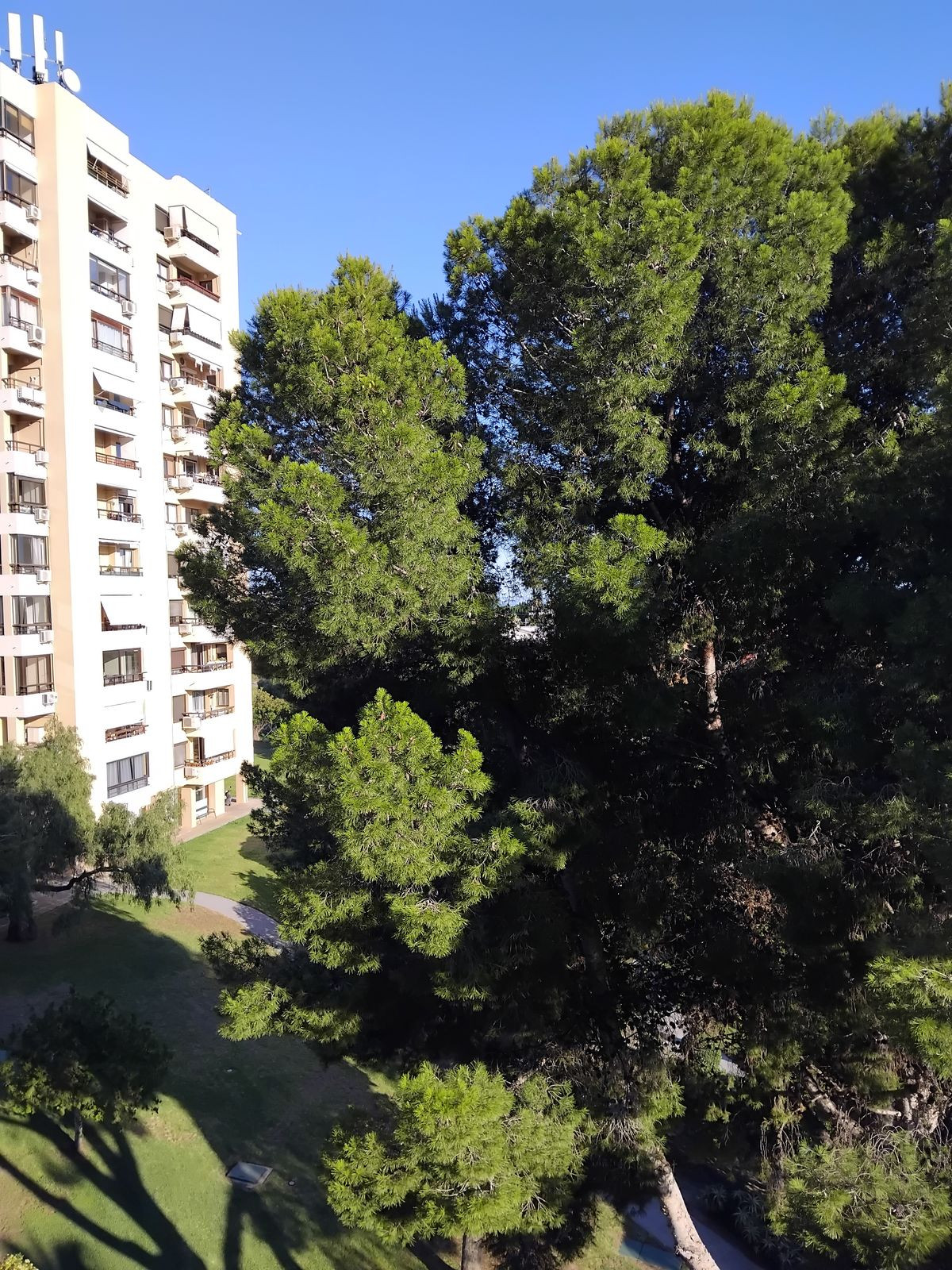 Photo 13 Middle Floor Apartment Nueva Andalucía, Costa del Sol, Málaga – R5056525