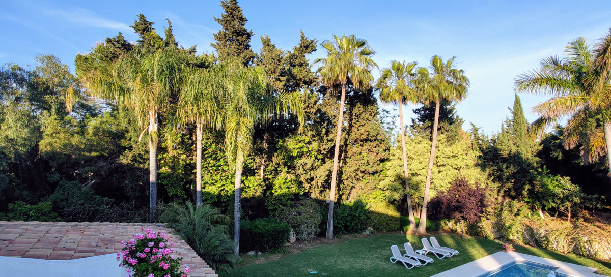 Photo 7 Detached Villa Guadalmina Baja, Costa del Sol, Málaga – R4606528