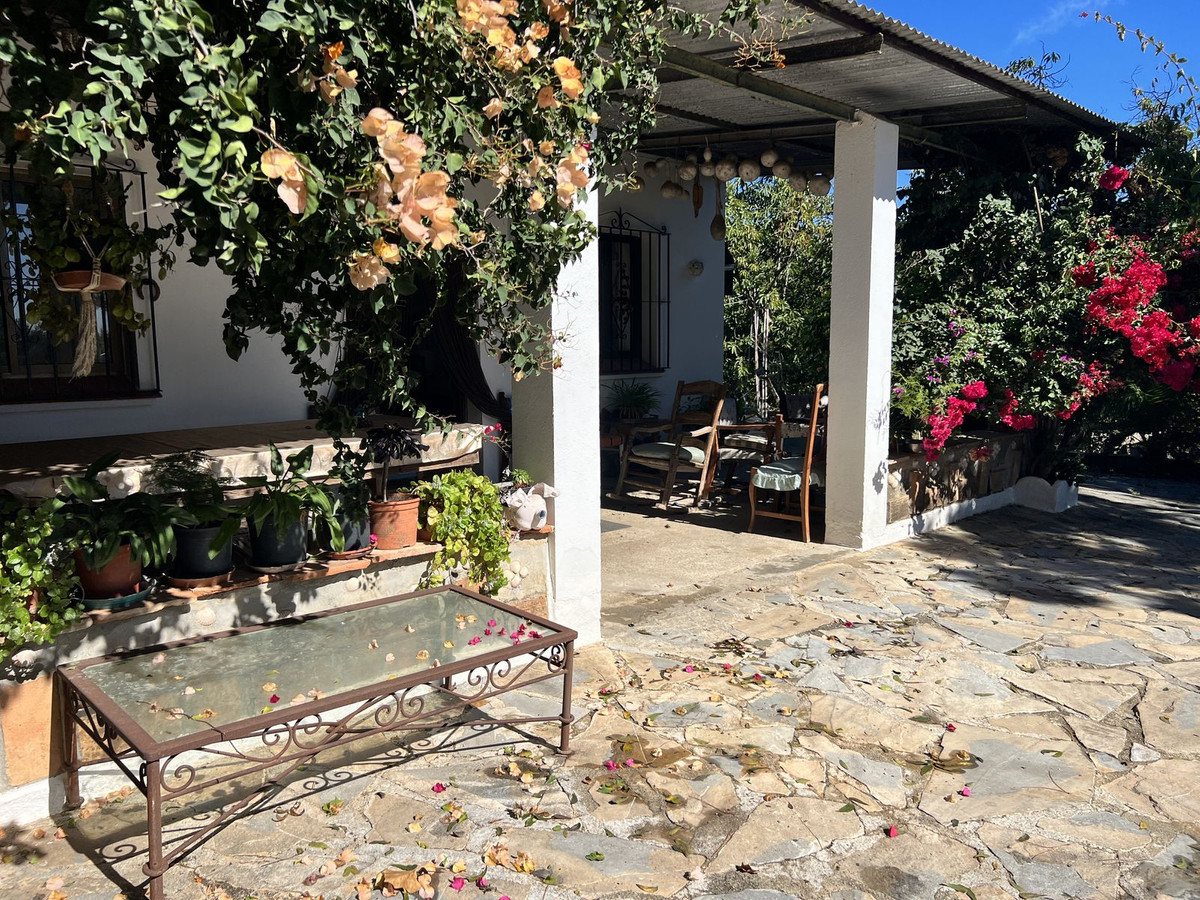 Photo 5 Finca – Cortijo New Golden Mile, Costa del Sol, Málaga – R4453384