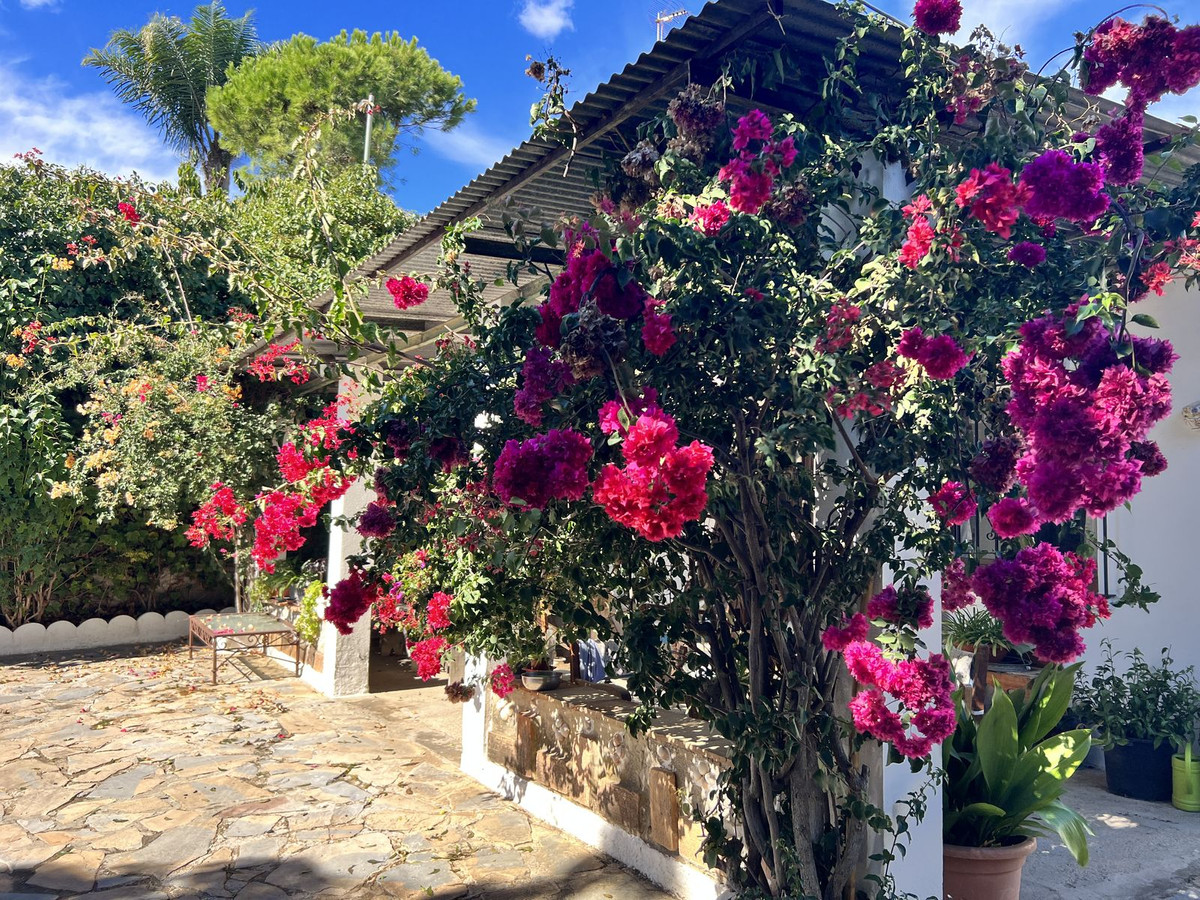 Photo 7 Finca – Cortijo New Golden Mile, Costa del Sol, Málaga – R4453384