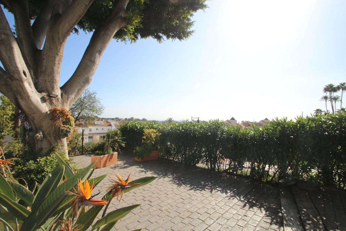 Photo 4 Restaurant El Paraiso, Costa del Sol, Málaga – R4952035